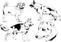 vector drawings sketches pedigree dogs and cats drawn in ink by hand